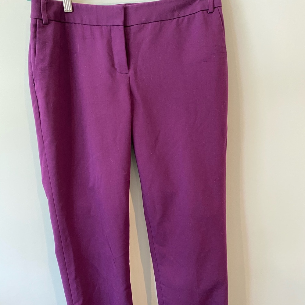 Plum /purple Express 6 Regular Editor Pants